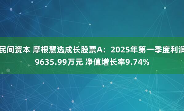 民间资本 摩根慧选成长股票A：2025年第一季度利润9635.99万元 净值增长率9.74%