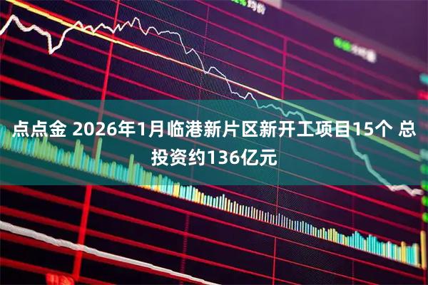 点点金 2026年1月临港新片区新开工项目15个 总投资约136亿元